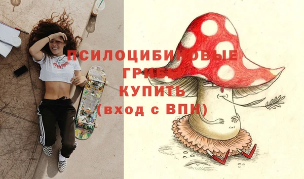 PSILOCYBIN Арсеньев