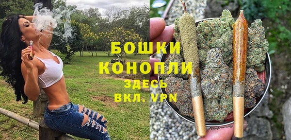 стаф Армянск