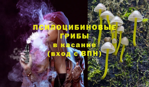 PSILOCYBIN Арсеньев