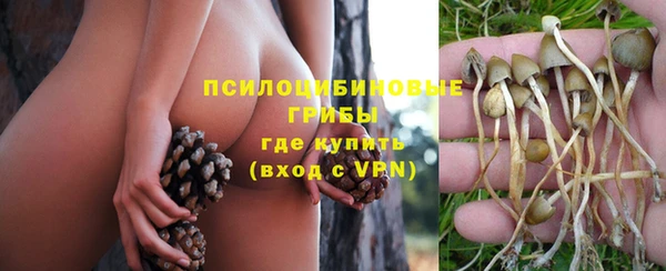 PSILOCYBIN Арсеньев