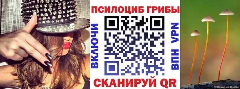 цены наркотик Солигалич Галлюциногенные грибы прущие грибы